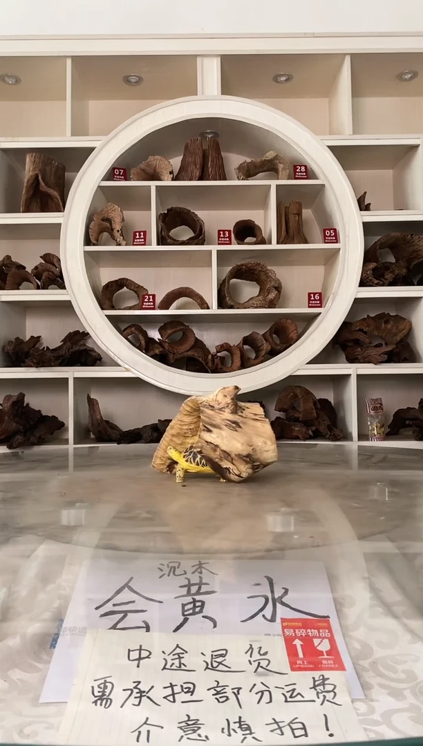 招**鸟鱼缸爬宠造景素材829