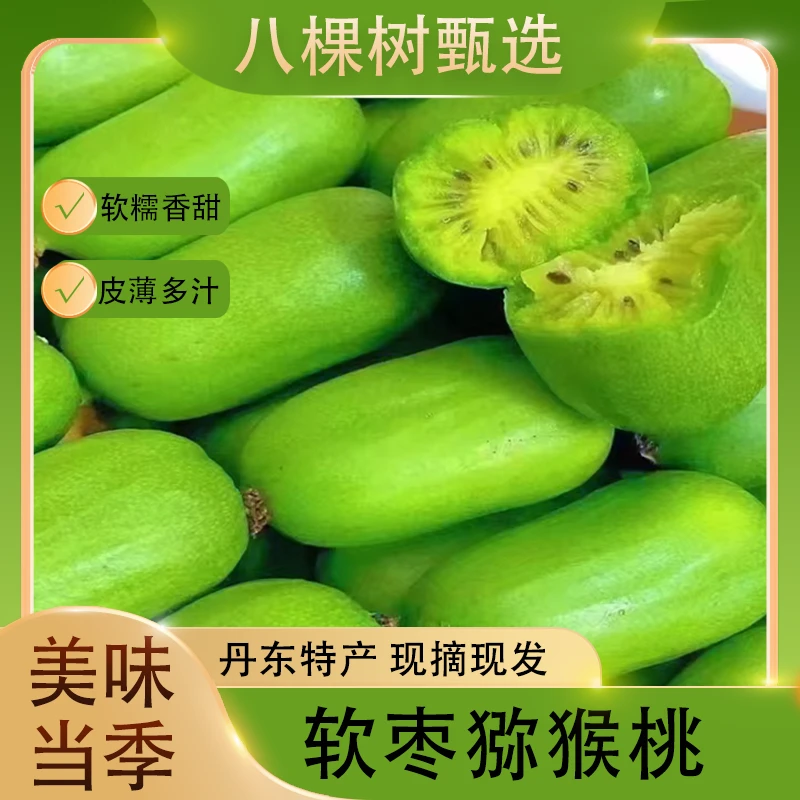 【收到货后放软了吃】丹东软枣小猕猴桃奇异果圆枣子【到手一斤30个】