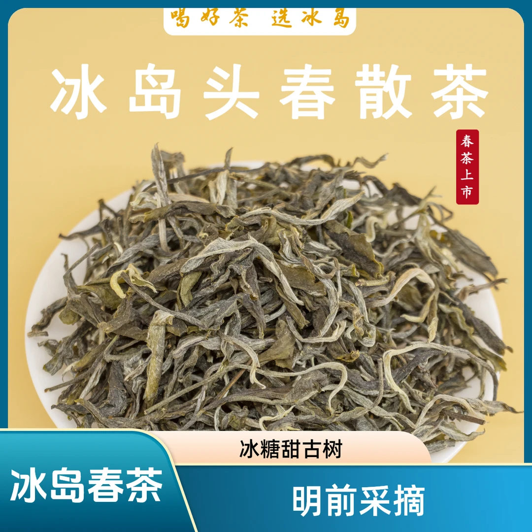 2025年冰岛春茶古树普洱生茶散茶春茶礼茶明前茶高级生普新茶