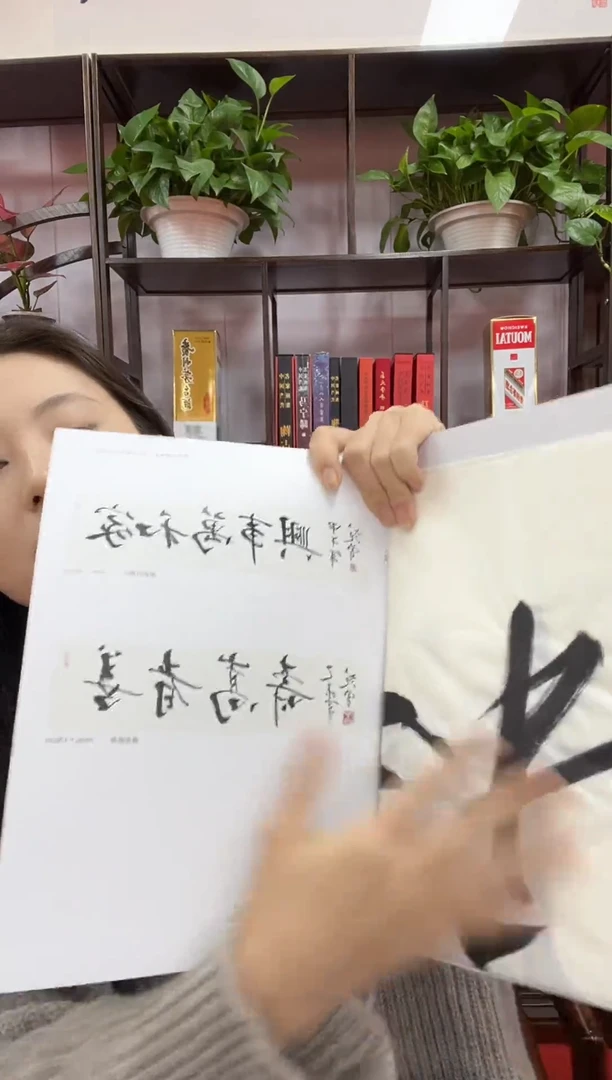 书法兰亭书画精选作品