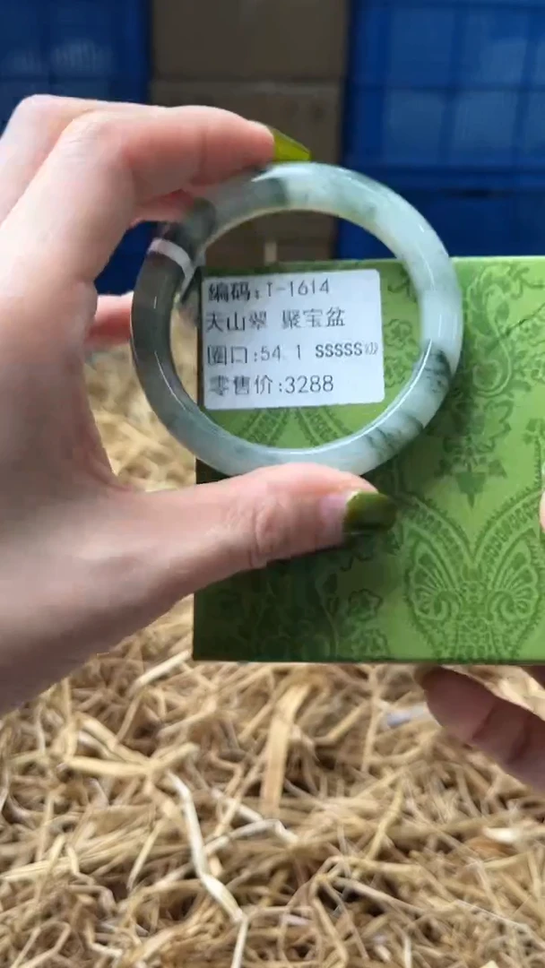 未镶嵌手镯石英质玉T1614