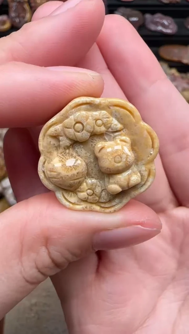 颈饰未镶嵌硅化珊瑚（珊瑚玉）047