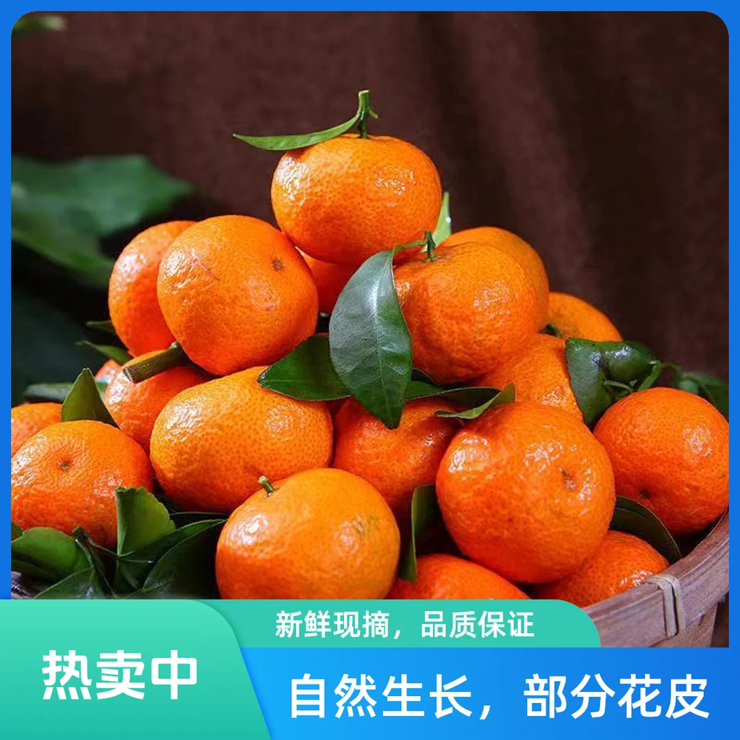 x砂糖橘新鲜采摘纯甜现摘现发广西水果砂糖橘5斤包邮