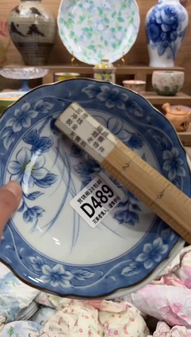 瓷片〰*      D489