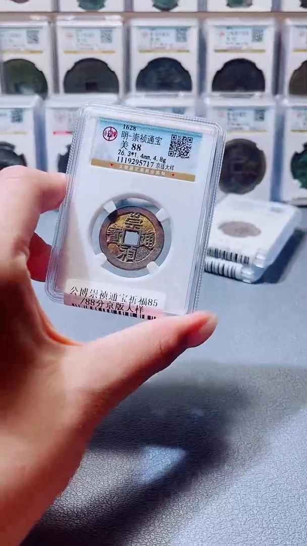 铜A033公博崇祯通宝美京版大样一枚88(柏杨)5717