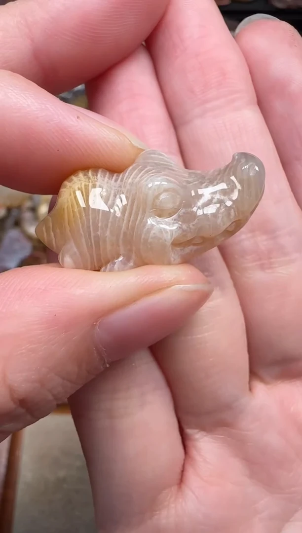 颈饰未镶嵌硅化珊瑚（珊瑚玉）232