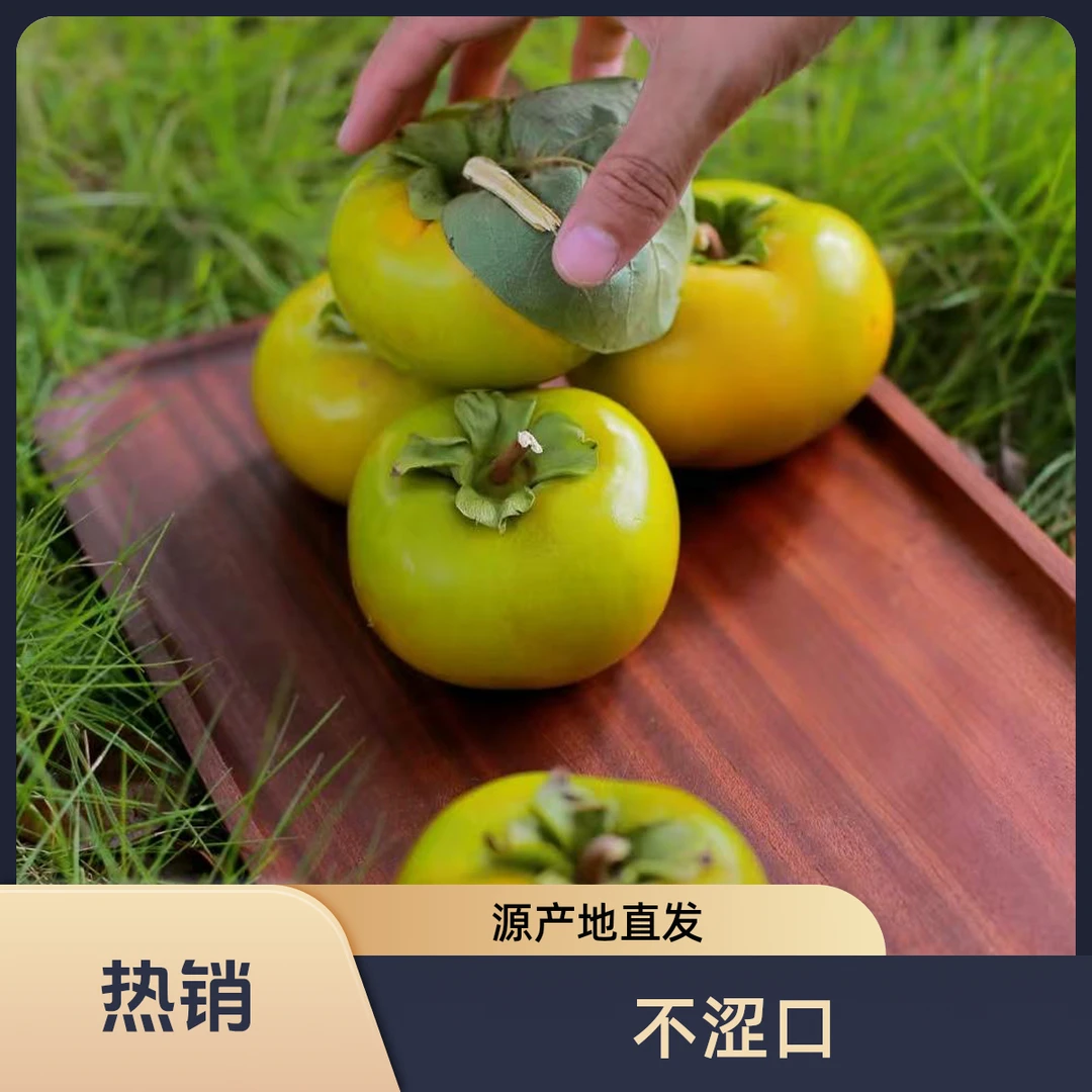 净重2-2.5斤【大果】（单果150g-190g/试吃力推）浙江省
