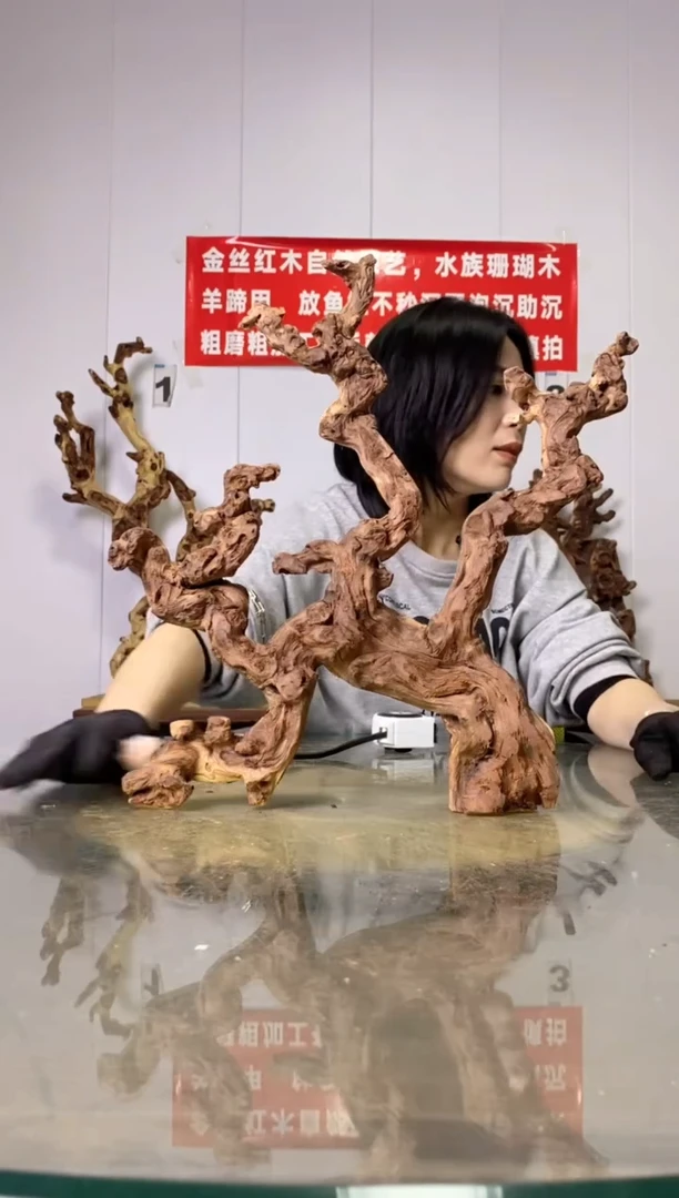 【闪购商品】木38金丝红木 羊蹄甲