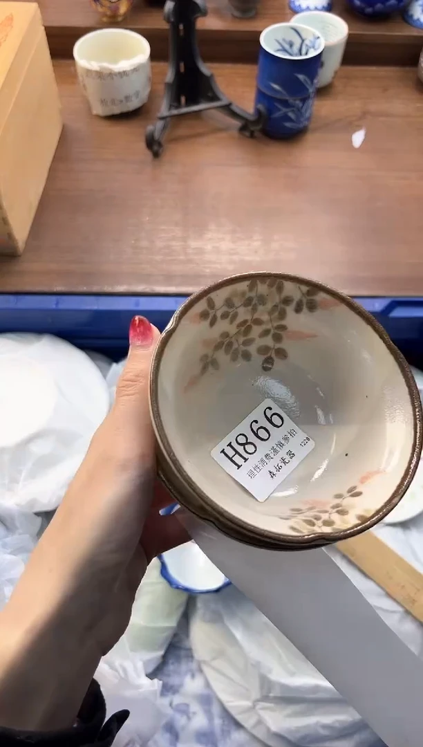 【闪购商品】瓷片----------H866