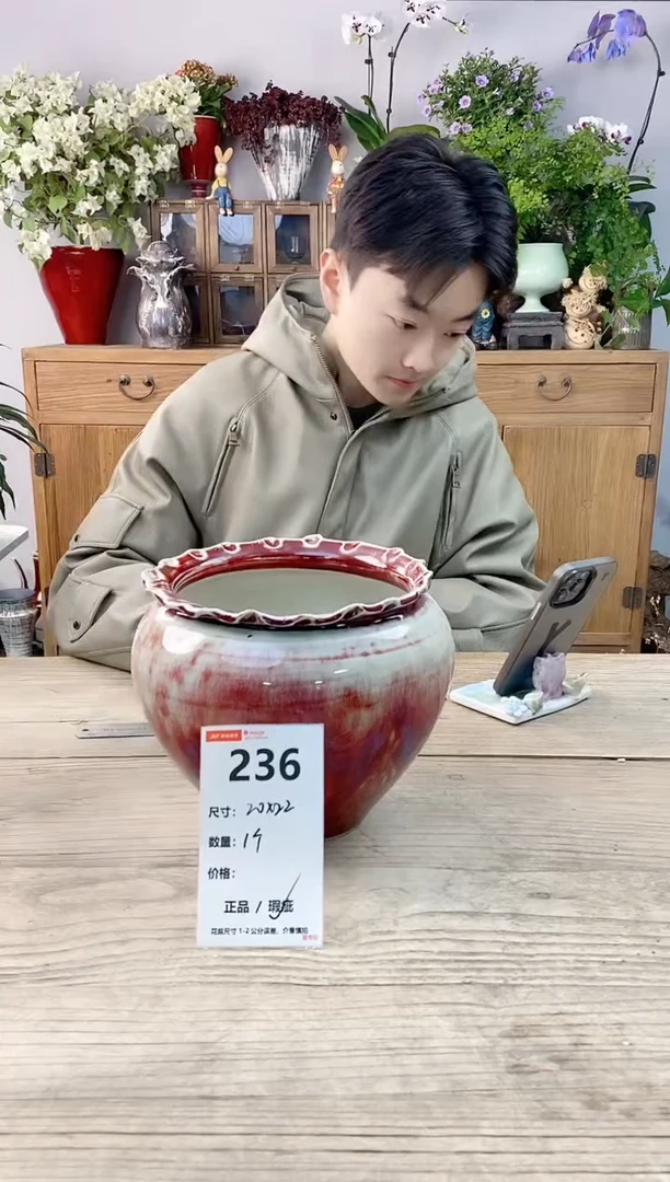 小玩子花盆直播编号236