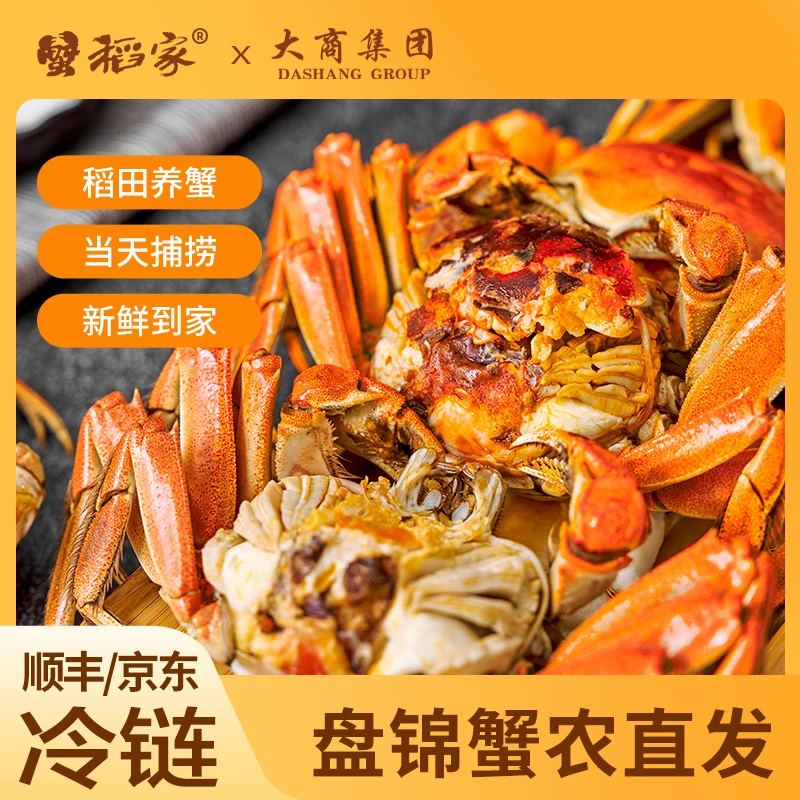 【活蟹】无品牌盘锦河蟹稻田蟹 母蟹1-0.8两30-35只顺丰/京东包邮鲜活发货