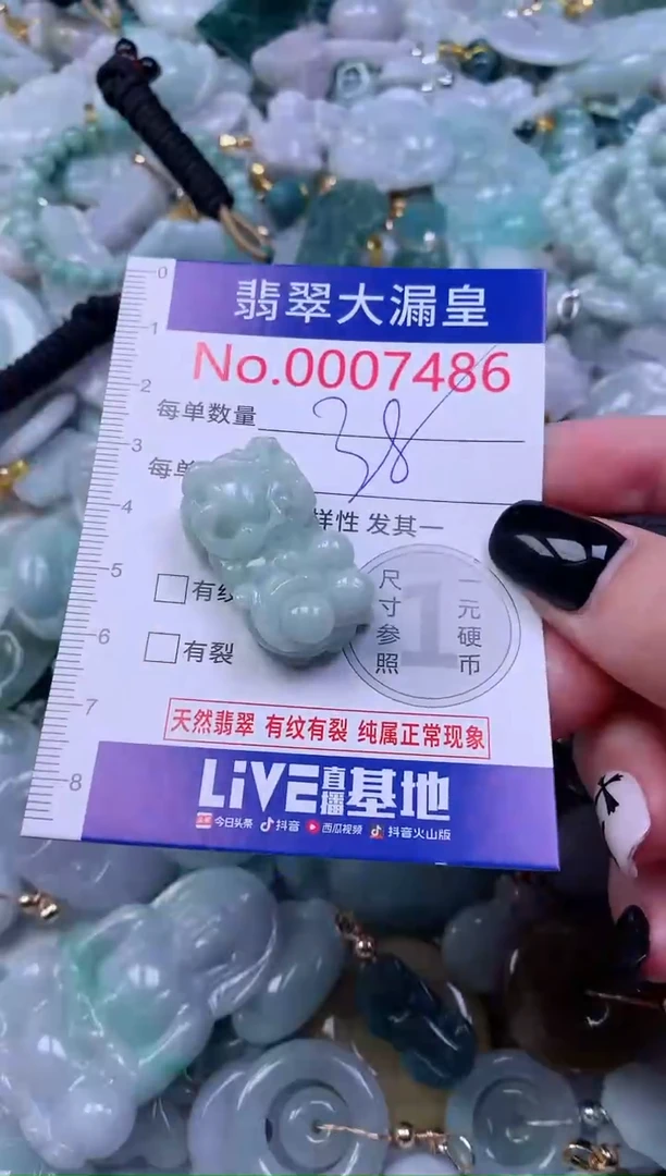 颈饰未镶嵌翡翠7486