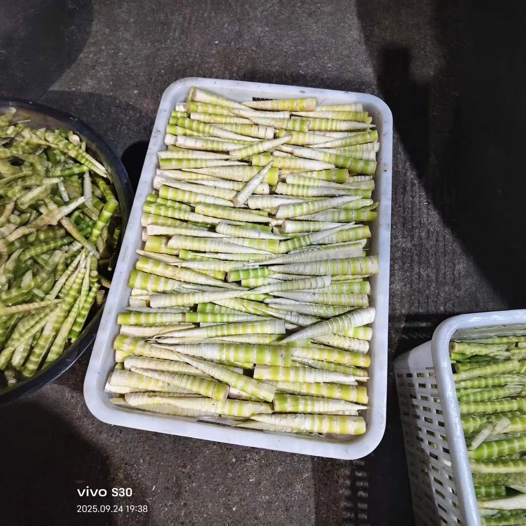 熊猫故乡(四川高山黄金小竹笋）脆爽清甜去壳真空包装