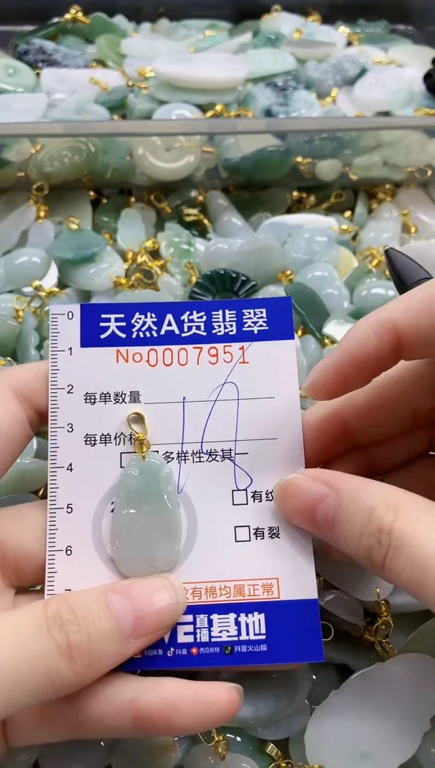 颈饰未镶嵌翡翠纯天然a货翡翠