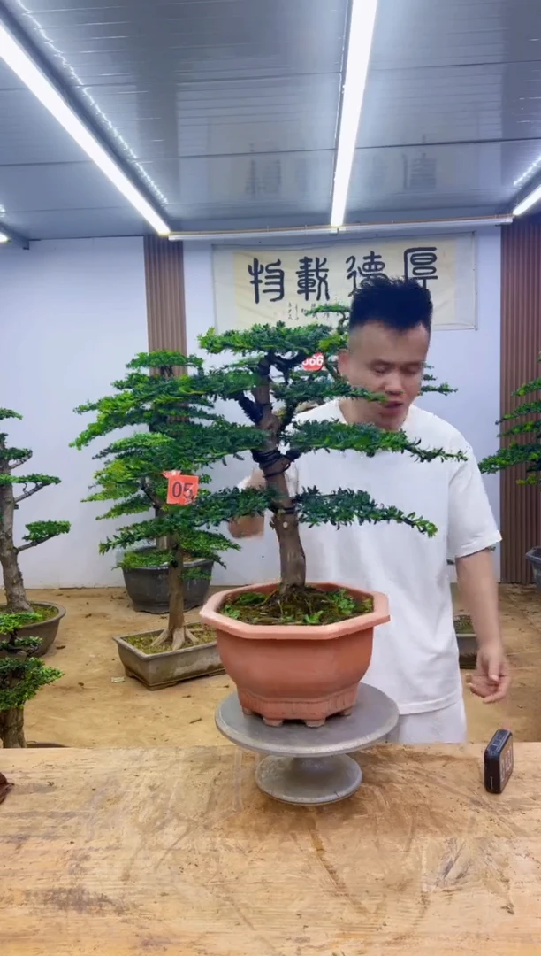 完全开放0000000000000