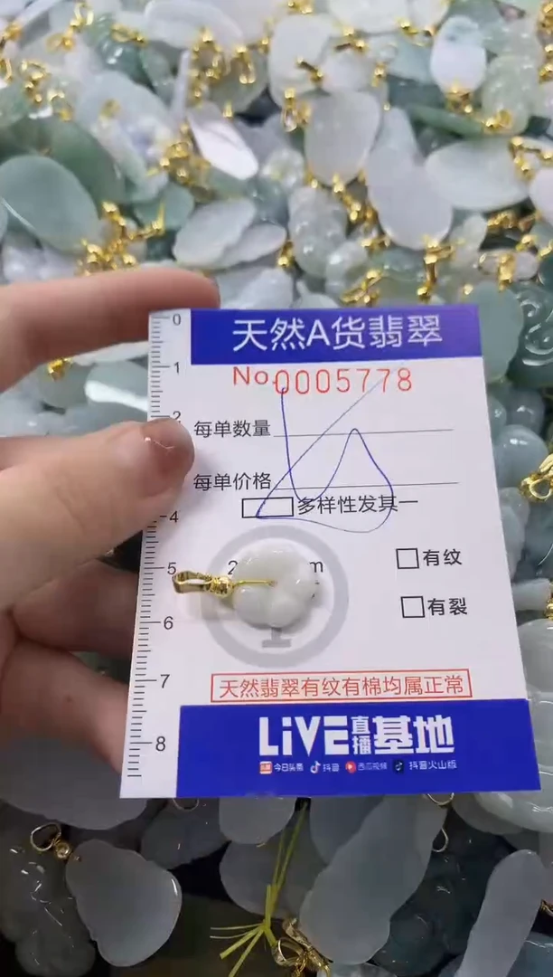 颈饰未镶嵌翡翠天然A货翡翠
