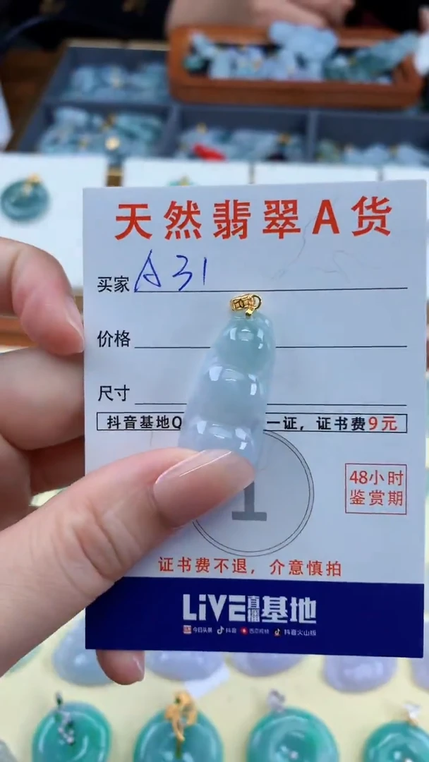 颈饰未镶嵌翡翠天然A货翡翠挂件