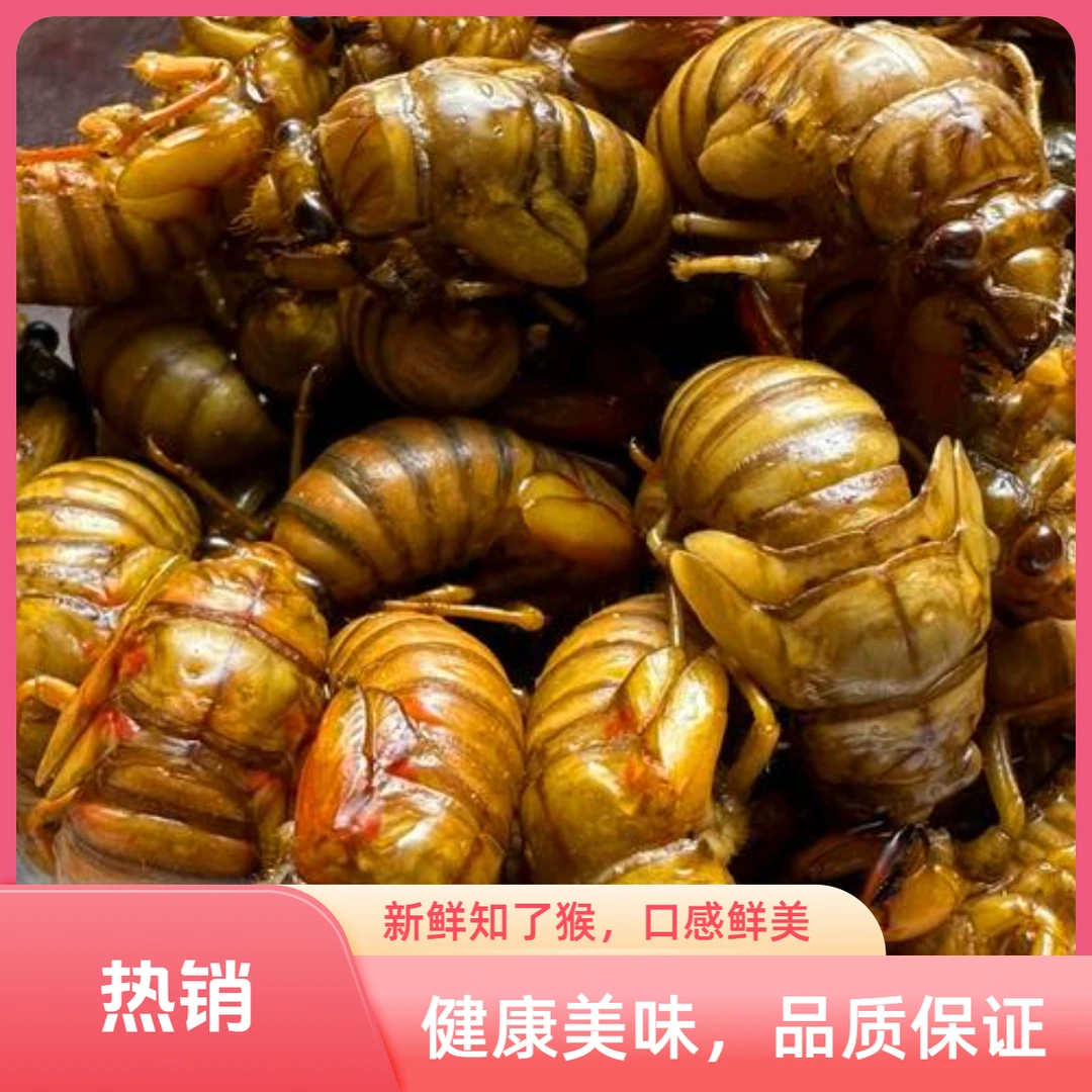 【优选】新鲜杜仲金禅 知了1猴  爬叉 顺丰速运