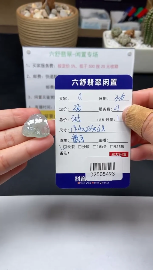 翡翠未镶嵌颈饰D2505493