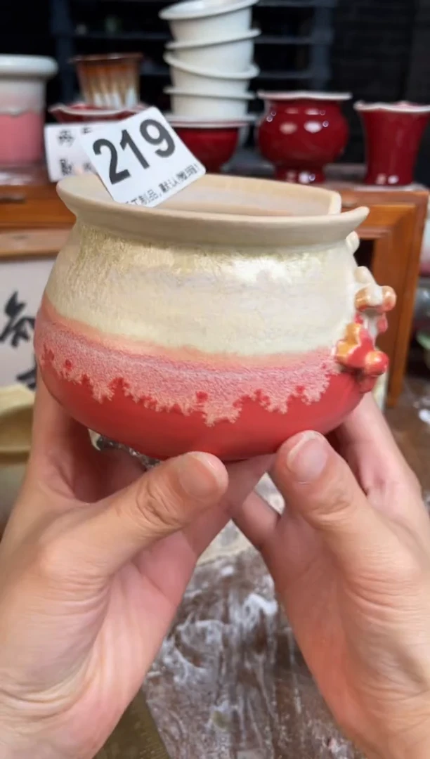瓷片219小芳直播编号