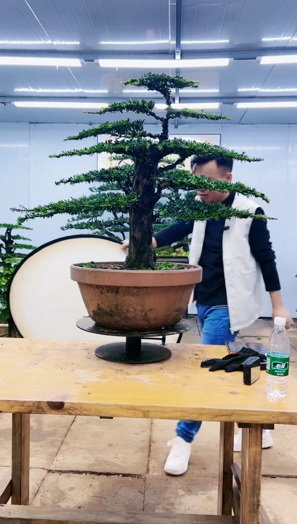 志**。0000000000000000000000