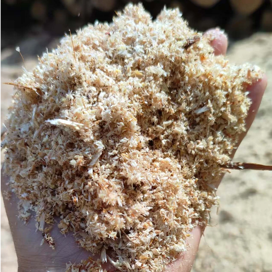 纯杉木【锯末】可用于育苗扦插，出芽率非常高兰花专用植料