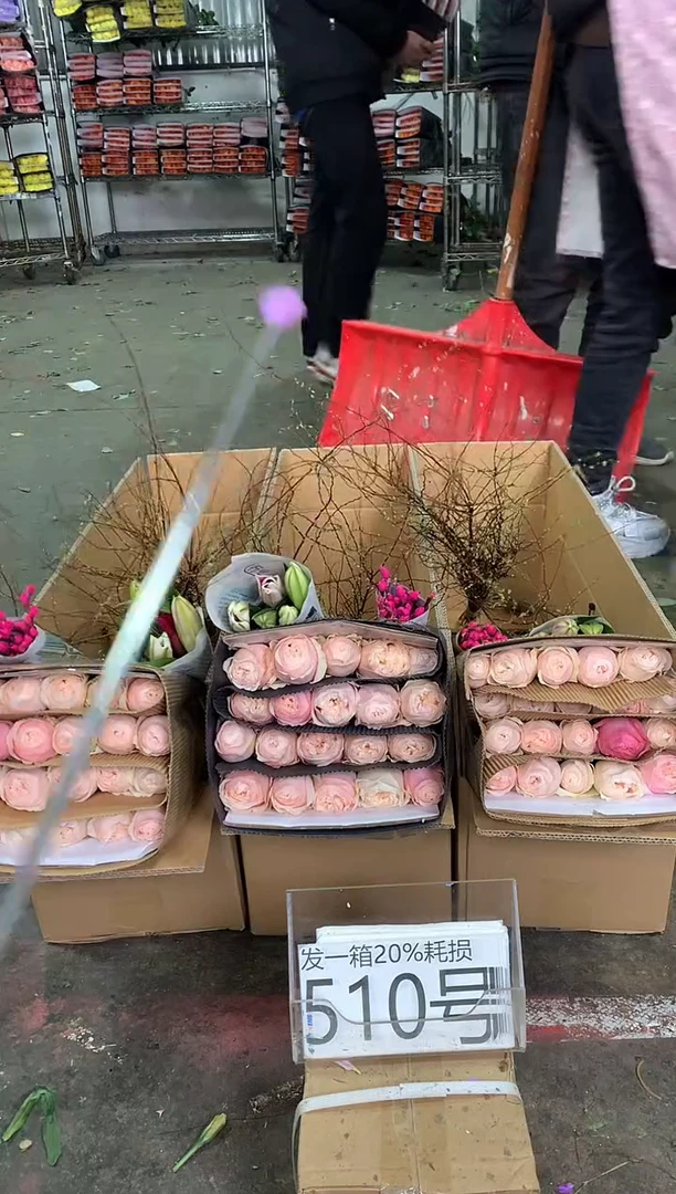 510号♥中通含20%耗损发一箱鲜花