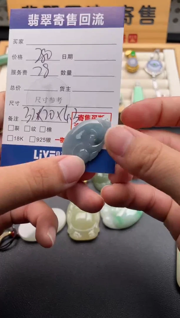 颈饰未镶嵌翡翠10146704