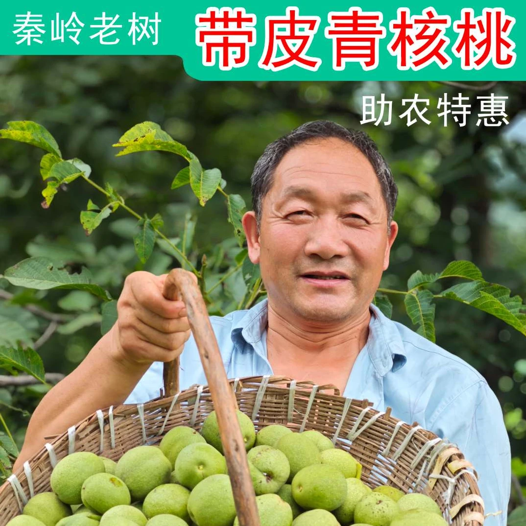 【带青皮鲜核桃】特惠助农湿核桃2025年秦岭老树鲜核桃鲜香脆嫩