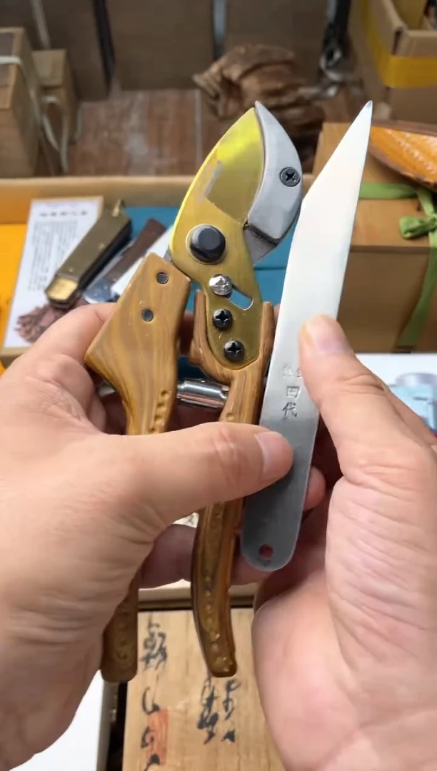 瓷片szj+jjd  郑正杂货品质保障