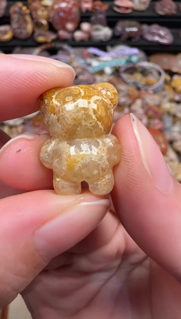 颈饰未镶嵌硅化珊瑚（珊瑚玉）750