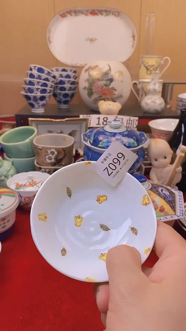 森*皖中古 定向 森楽