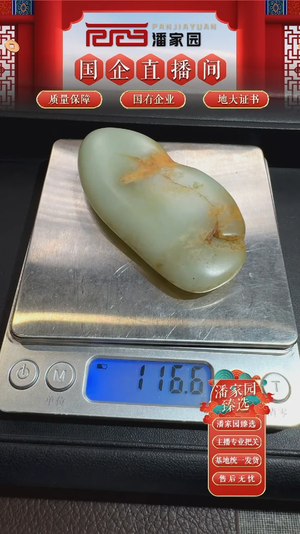颈饰未镶嵌和田玉245-LSY-0925-和田玉-原石-新疆-89*46*17mm