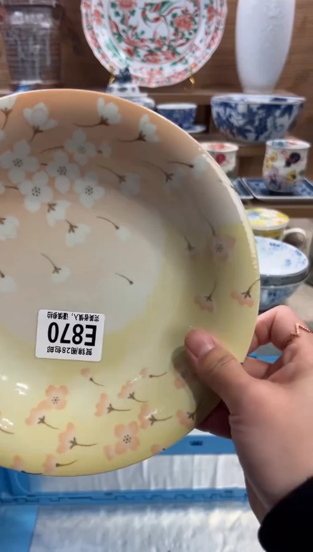 瓷片毛*       E870