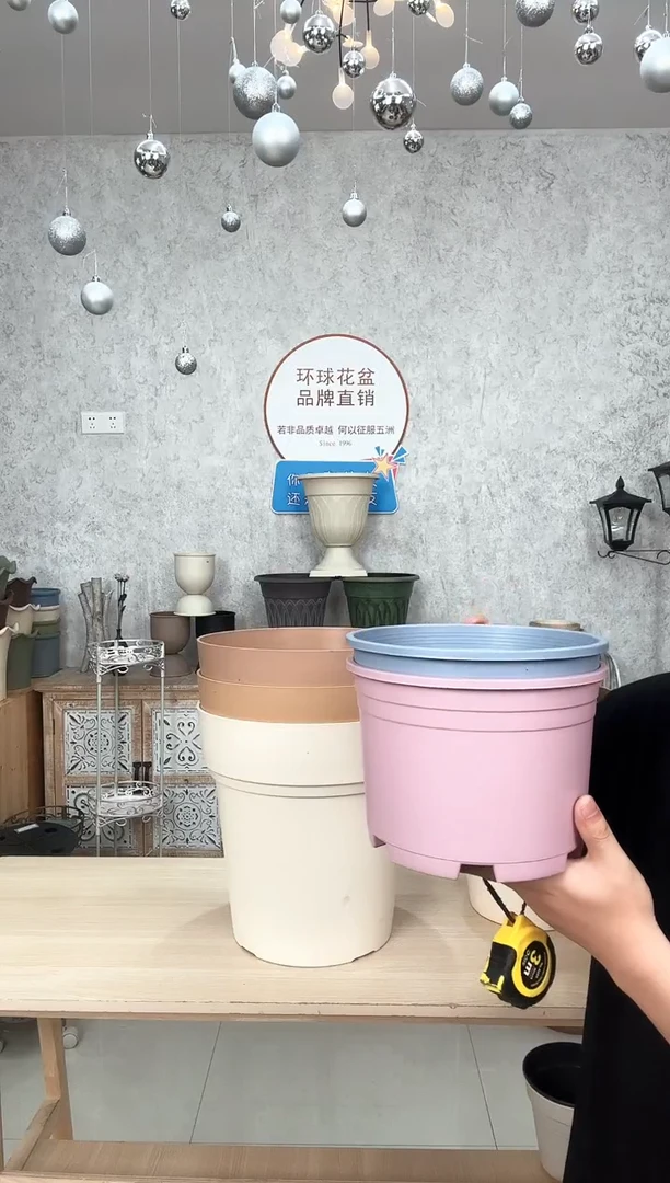 矮胖1.5加仑混色10只