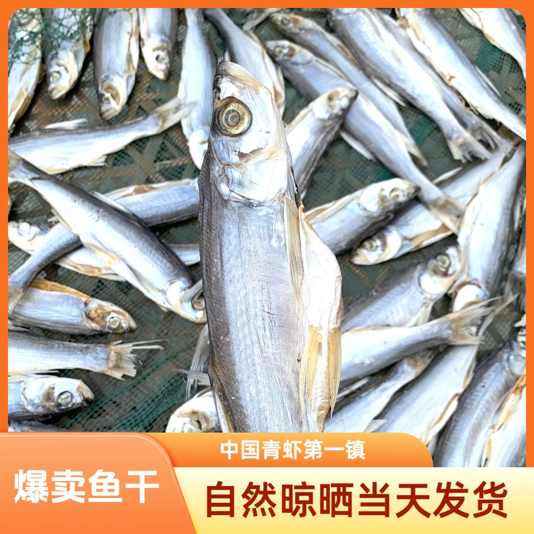 江苏常州【中国青虾第一镇】溧阳社渚村民自晒长寿之乡农家刁子鱼干新鲜自然晾干无添加小鱼干海鲜