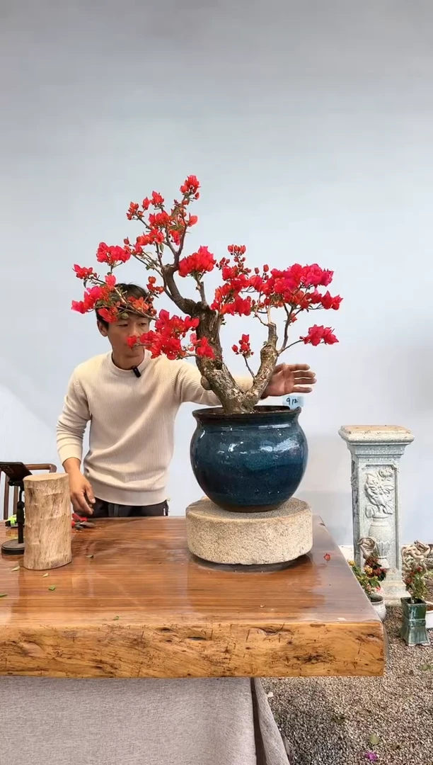 【闪购商品】aa912