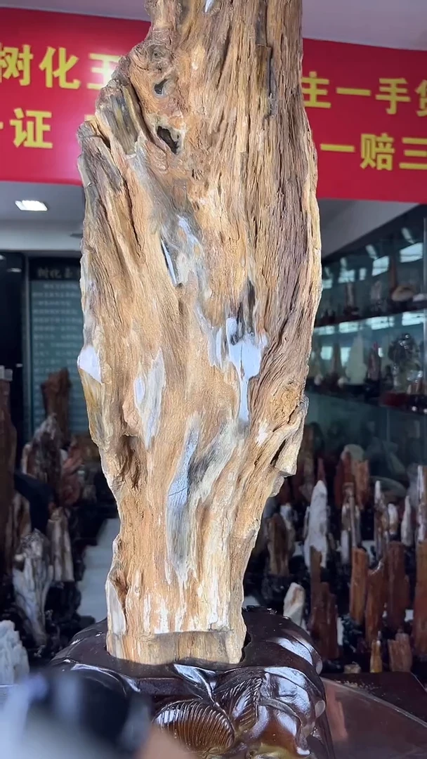 缅甸天然树化玉摆件
