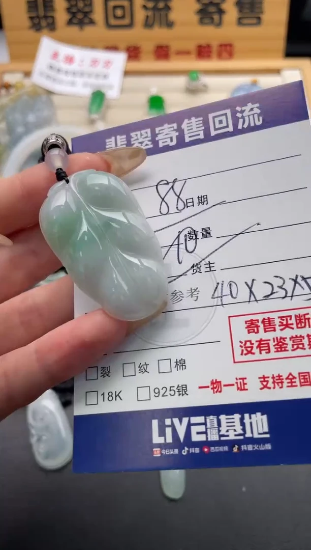 颈饰未镶嵌翡翠10146969