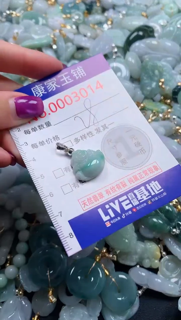 颈饰未镶嵌翡翠3014