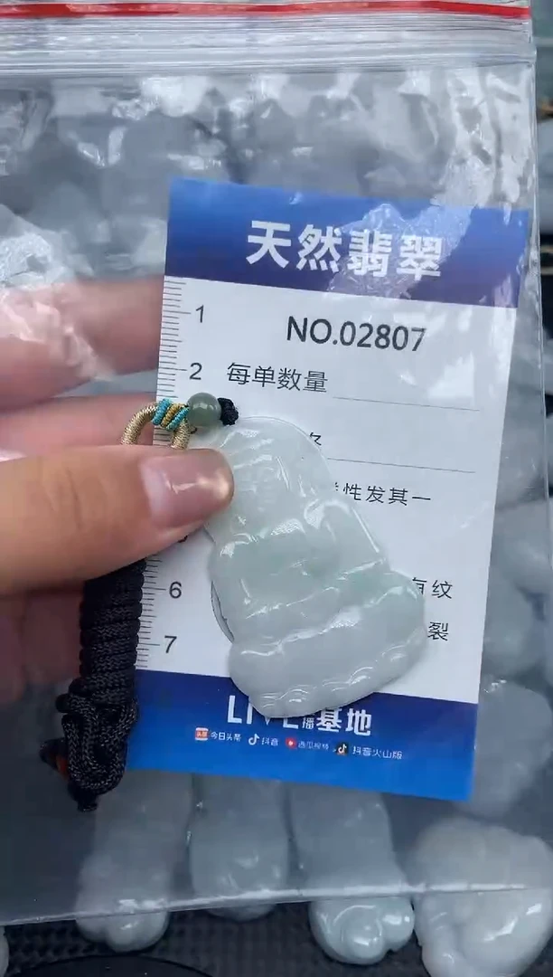 颈饰未镶嵌翡翠纯天然A货翡翠2807