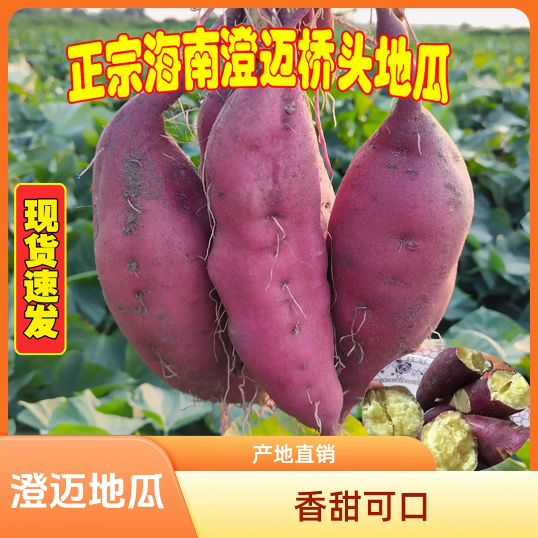 【小侯推荐】海南澄迈桥头地瓜富硒新鲜番薯产地直销沙地板栗香甜