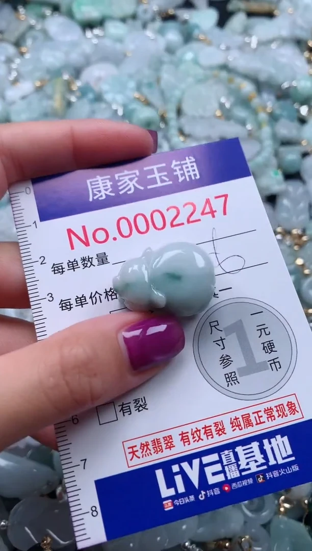 颈饰未镶嵌翡翠2247
