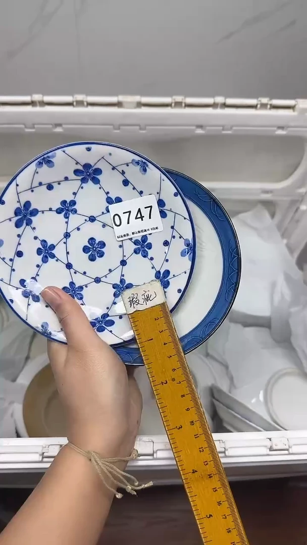 【闪购商品】747回流瓷器，默认微瑕18.8包邮
