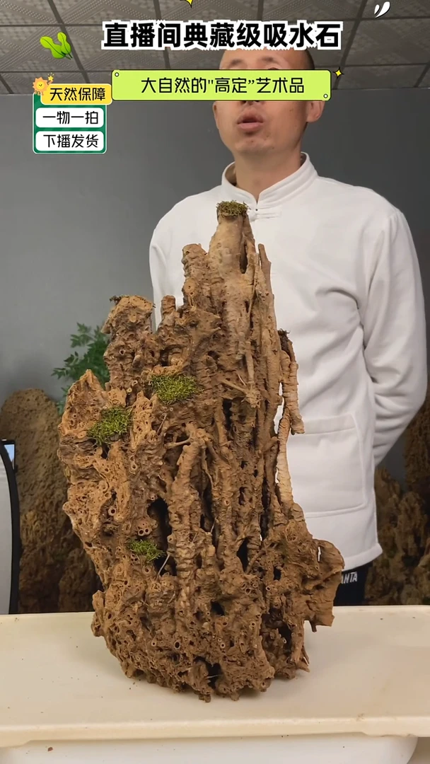 无花朵攀***?吸水石11111111