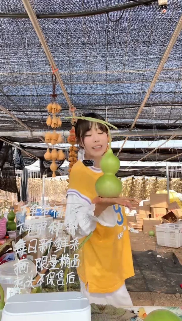 552天然葫芦摆件 一物一拍龙头不保售后