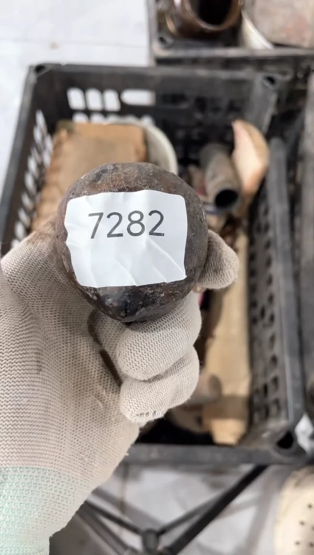 器没*55667788202506197282