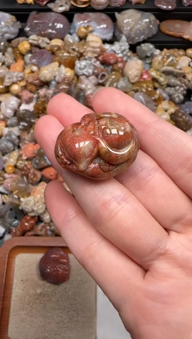 硅化珊瑚（珊瑚玉）未镶嵌颈饰636