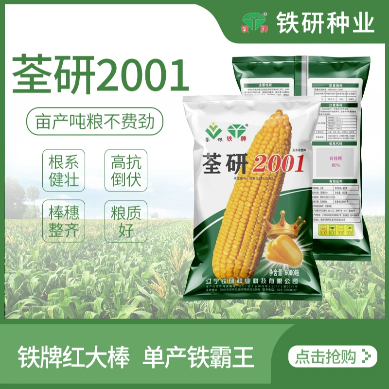 铁牌铁牌铁牌荃研2001玉米种子