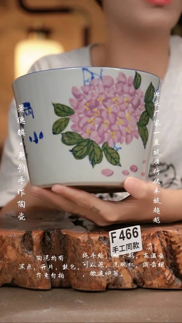 其他F466新十二器